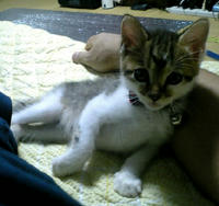 taro_003.jpg