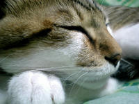 taro_007.jpg