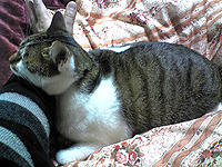 taro_008.jpg