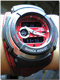 g_010.jpg