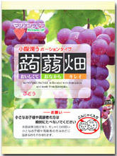 kon_002.jpg