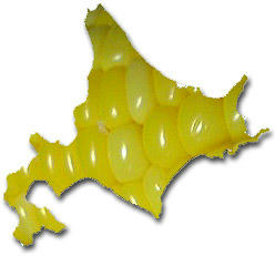 hokkaido_001.jpg