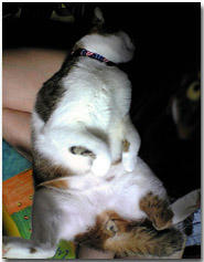 taro_019.jpg