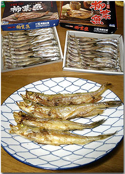 ししゃも　本物　北海道　日高産