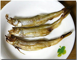 本物　ししゃも　北海道産