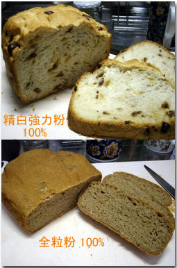 ぶどうパン　全粒粉パン　早焼き