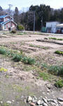 SH3E00050003.jpg