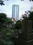 cb30de87.jpg