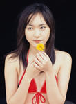 新垣結衣
WPB.net No.69
[A HAPPY NEW GAKKY] (79)