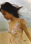 国仲涼子写真館
[風の記憶] (189)
