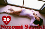 佐々木希 
ビジュアル・ヤングジャンプ No.75 
[雪景色と秋田美人] TOP(G)