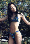 仲間由紀恵 
3rd写真集 [20th] (94)