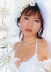 釈由美子 
7th写真集 [別冊 釈由美子] (120)