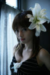 釈由美子 
N/S EYES No.354 (52)