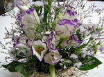 flower3