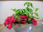 flower2