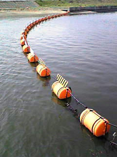 kawa-02.jpg