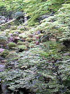 san-niwa.jpg