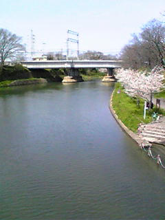 saku04.jpg