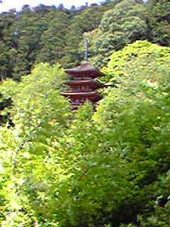hasedera_11.jpg