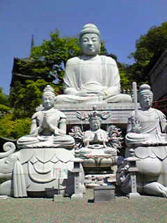 tsubosakadera_03.jpg