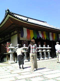 tsubosakadera_04.jpg