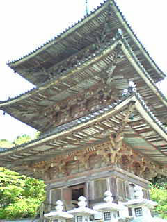 tsubosakadera_05.jpg