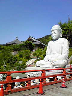 tsubosakadera_08.jpg