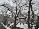 雪。