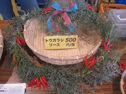 リース？