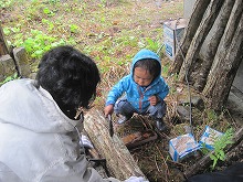 菌打ち。