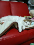 P1000230.JPG