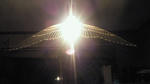birdlight_01.jpg
