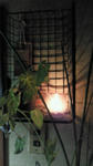 candle_iriguti.jpg
