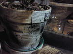planter.jpg