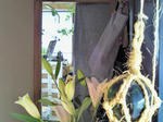 entrance04.jpg