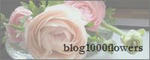 b1000bnr_s.jpg