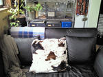 110411sfa.jpg