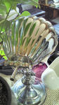 shelllight02.jpg