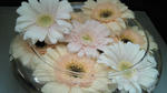 2011041601.jpg