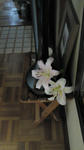 2011041603.jpg
