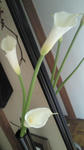2011041604.jpg