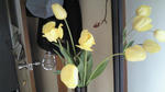 tulip_omote.jpg