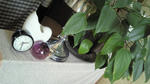 20110425all.jpg