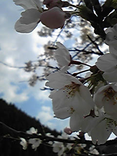 090405_143723.jpg