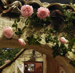 20011_rose01.jpg