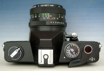 ML_31.jpg