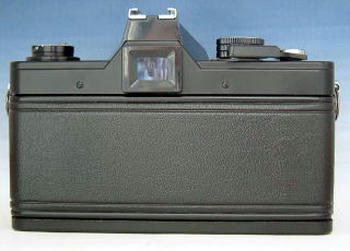 ML_back1.jpg