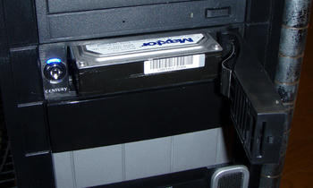 P10.jpg