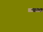 2ca62a1d.jpg